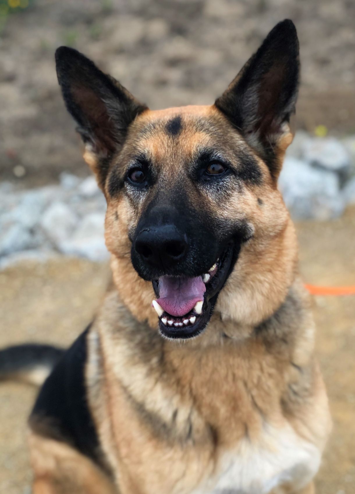 Kona